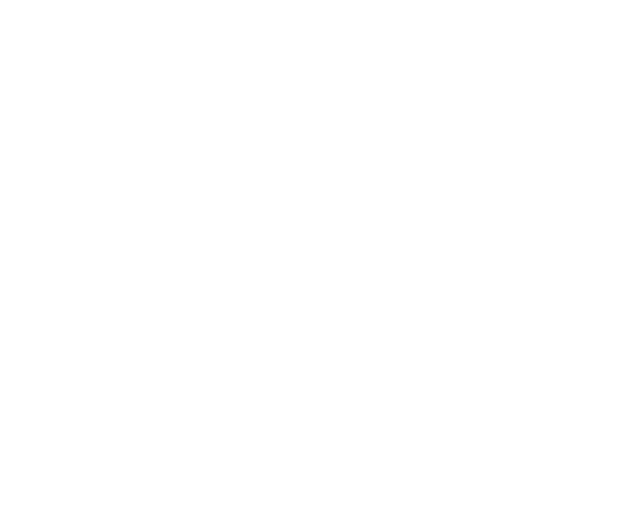 MariaDB logo